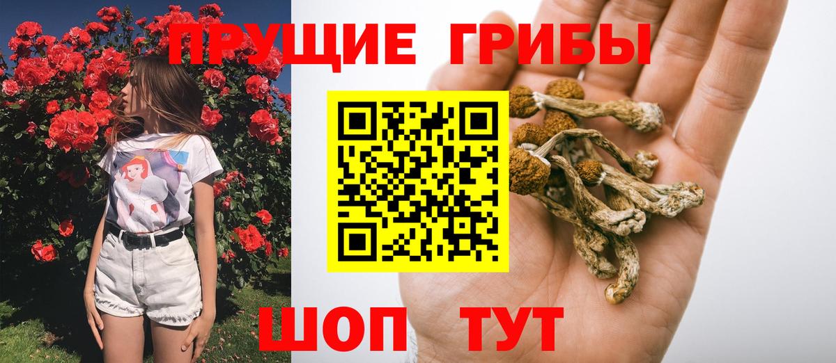 Галлюциногенные грибы MAGIC MUSHROOMS  Вход с VPN  Донской 