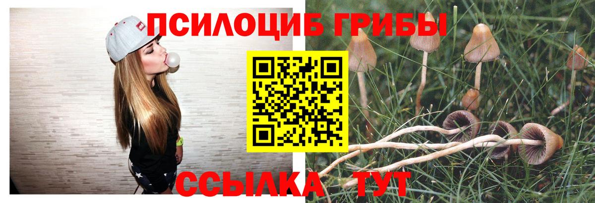 Псилоцибиновые грибы ЛСД Донской